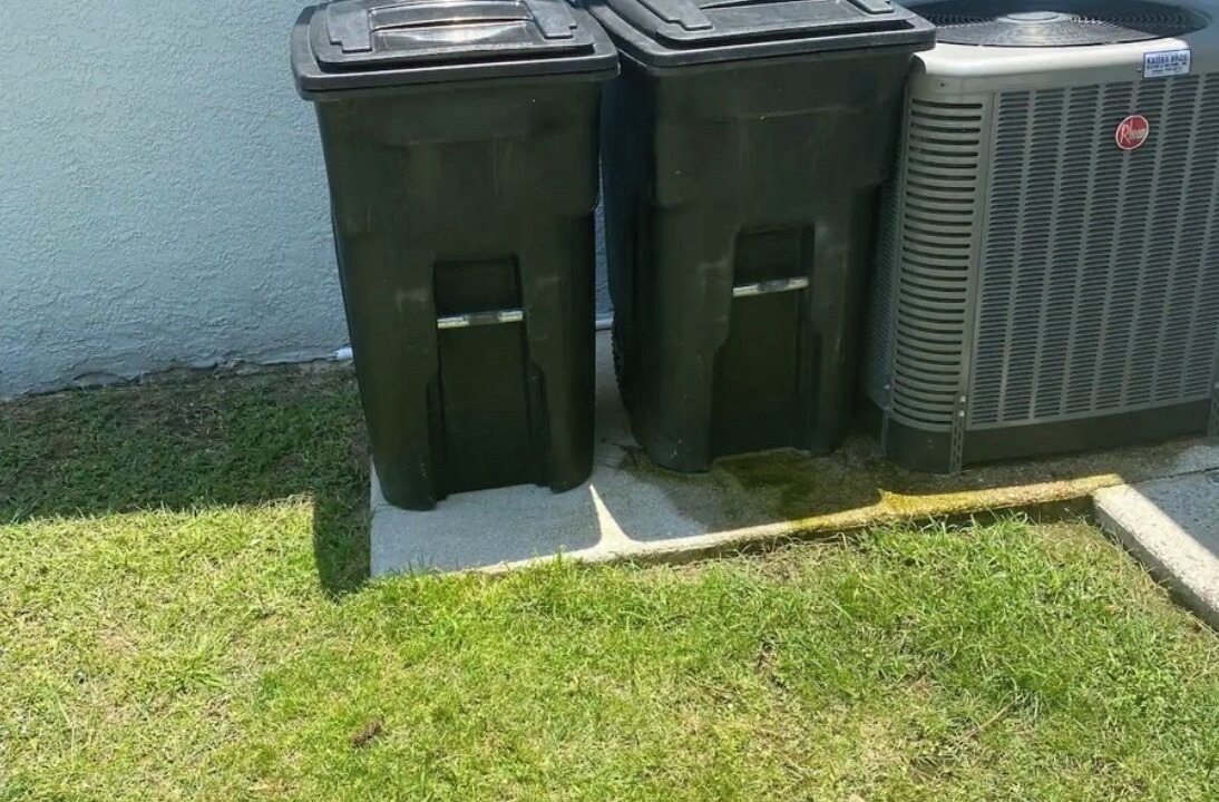 Photo of Others in Braden River