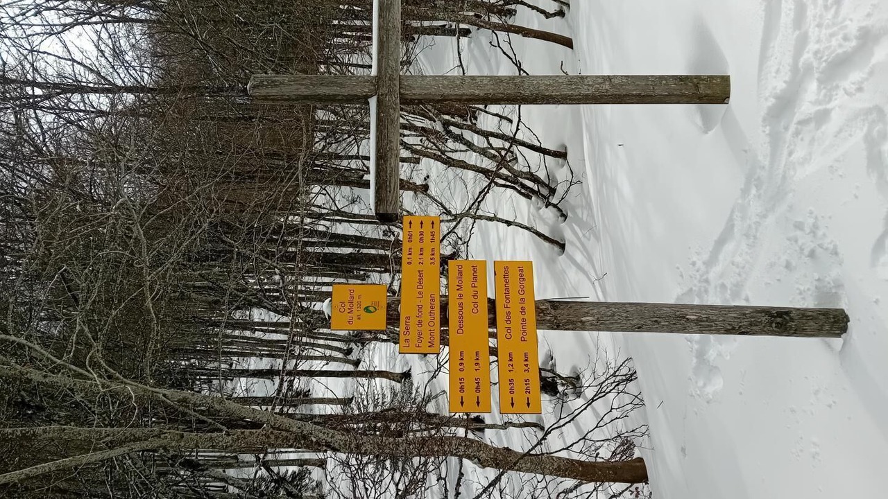 Photo of Others in Montagnole