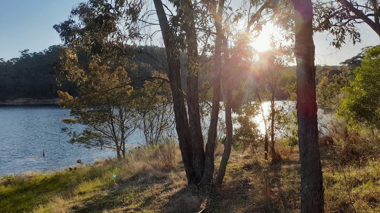 Photo of Others in South Bowenfels