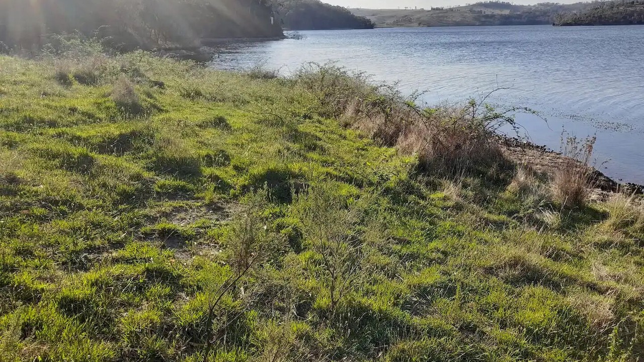 Photo of Others in South Bowenfels