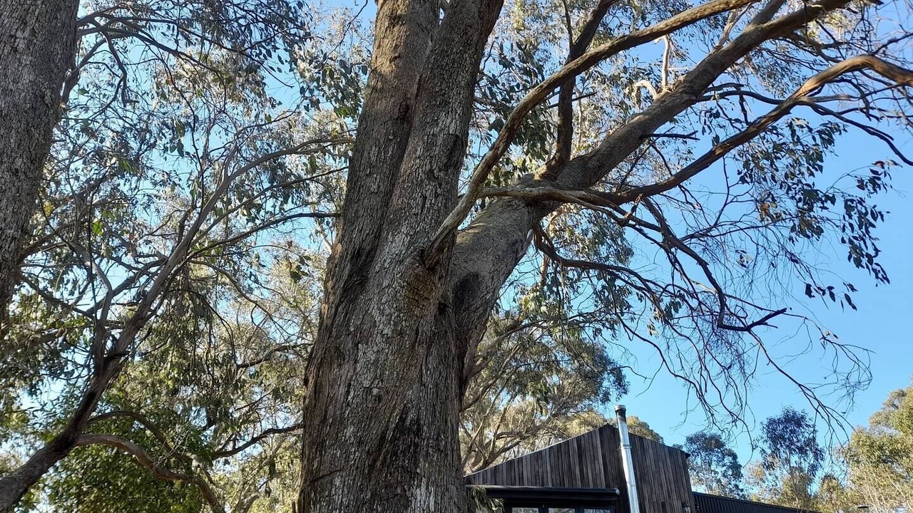 Photo of Outdoor in South Bowenfels