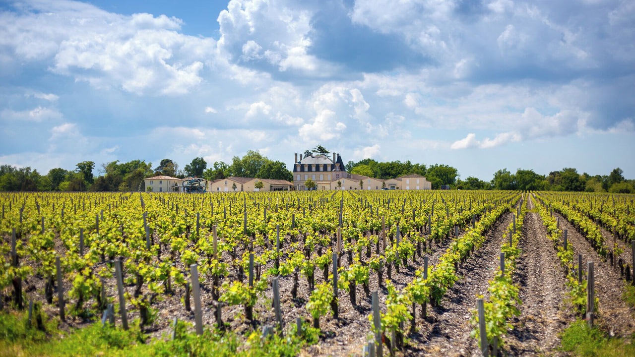 Photo of Others in Saint-Vivien-de-Medoc