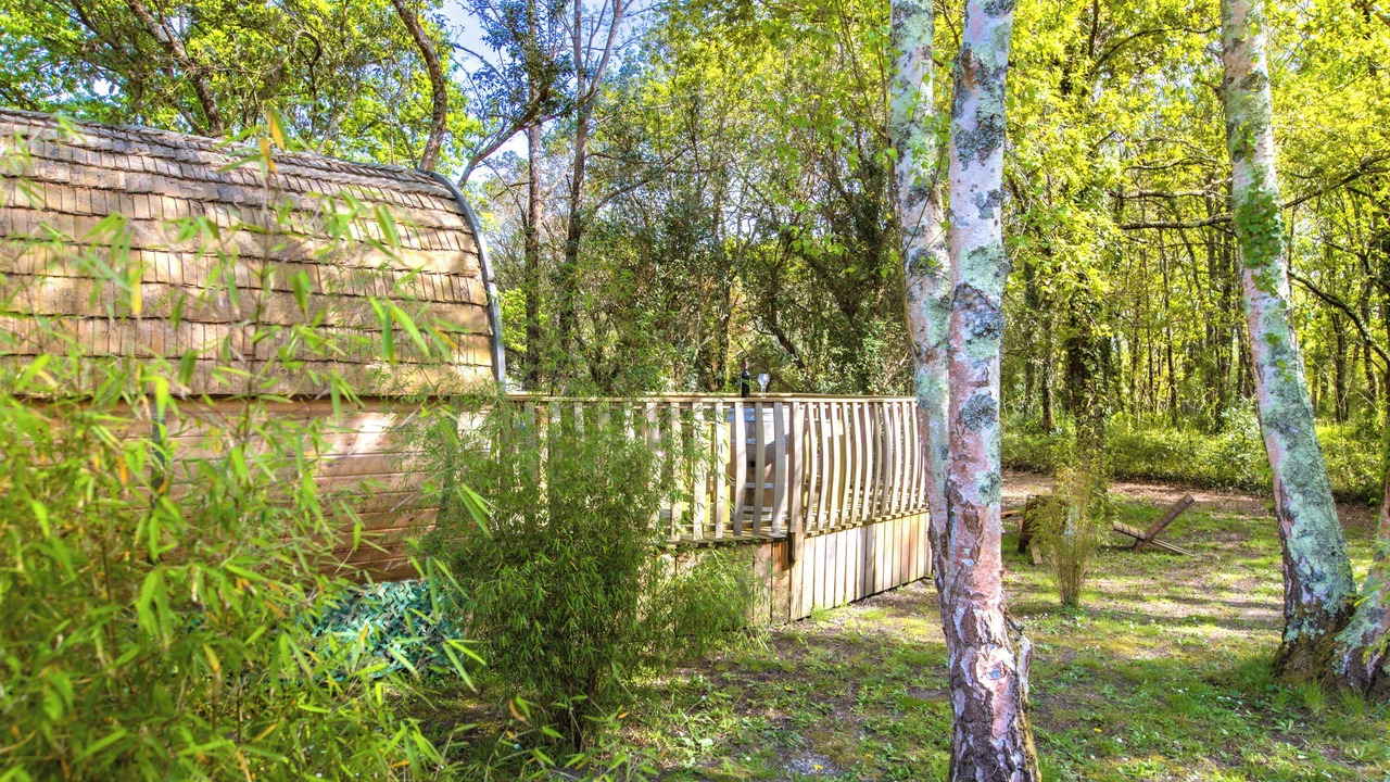 Photo of Outdoor in Saint-Vivien-de-Medoc