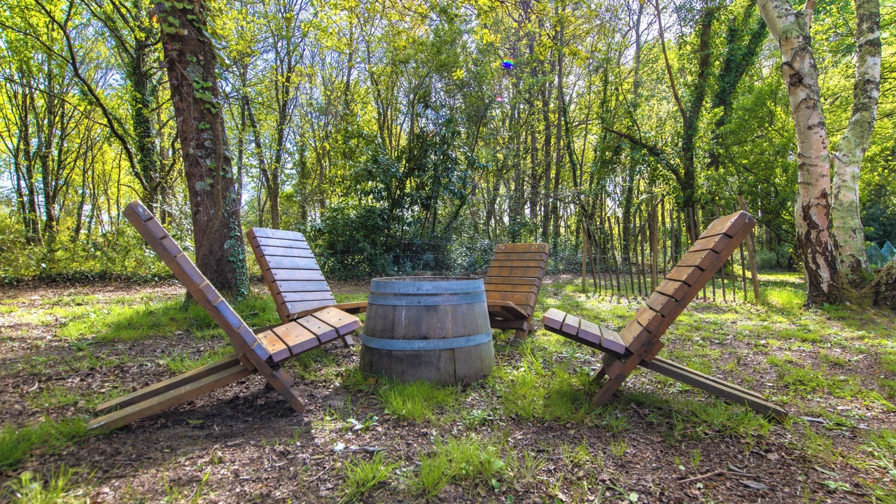 Photo of Outdoor in Saint-Vivien-de-Medoc