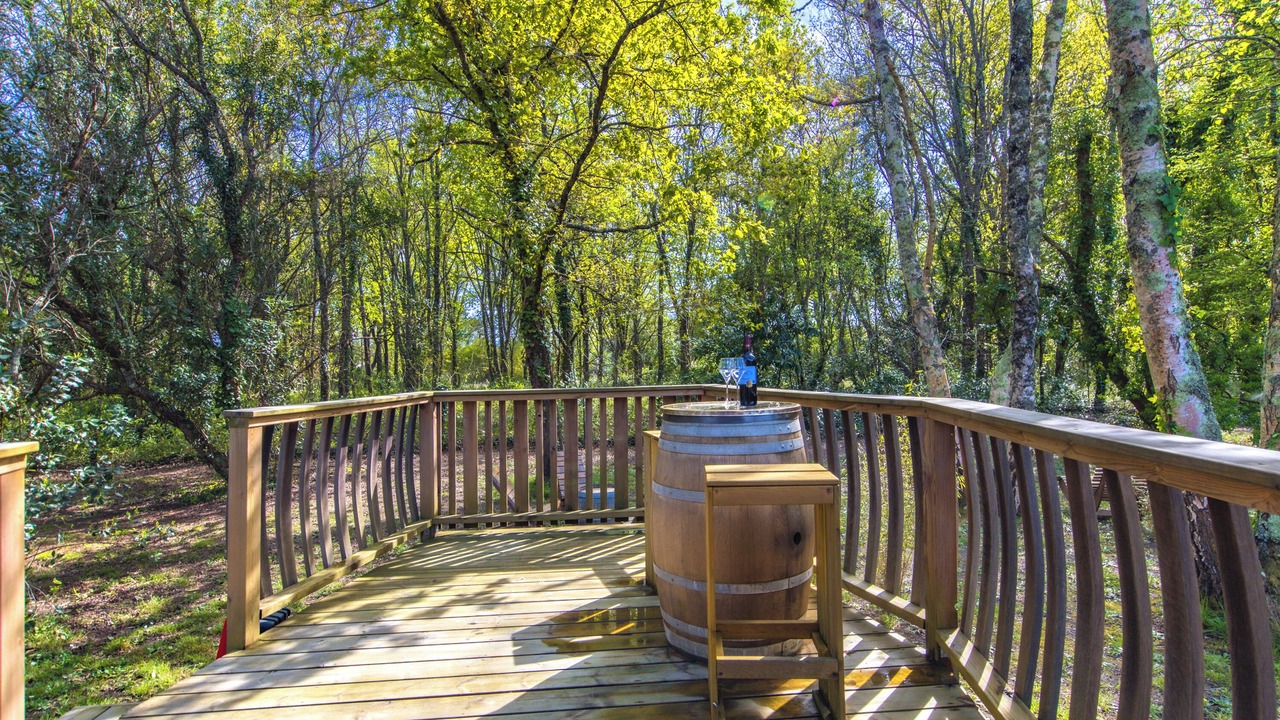 Photo of Outdoor in Saint-Vivien-de-Medoc