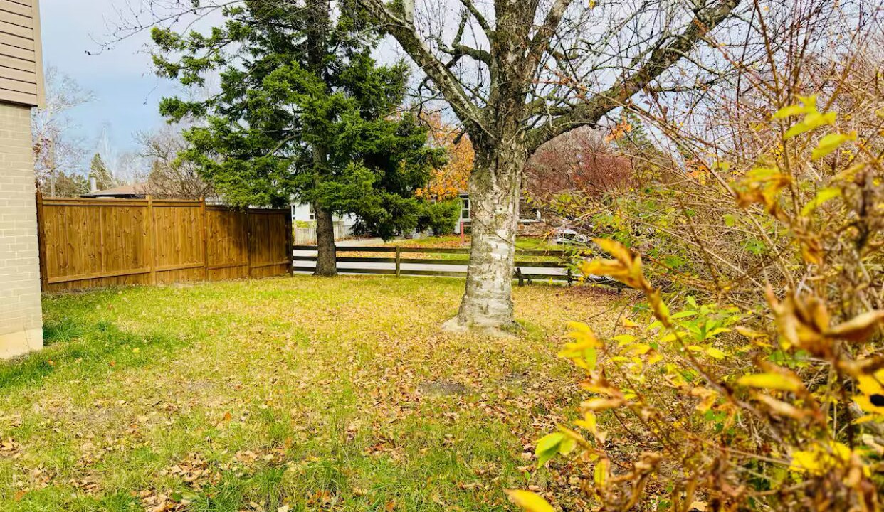 Photo of Outdoor in Pickering