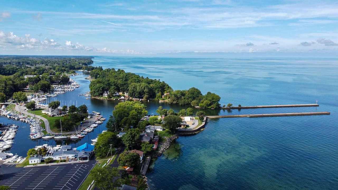 Photo of Others in Wilson