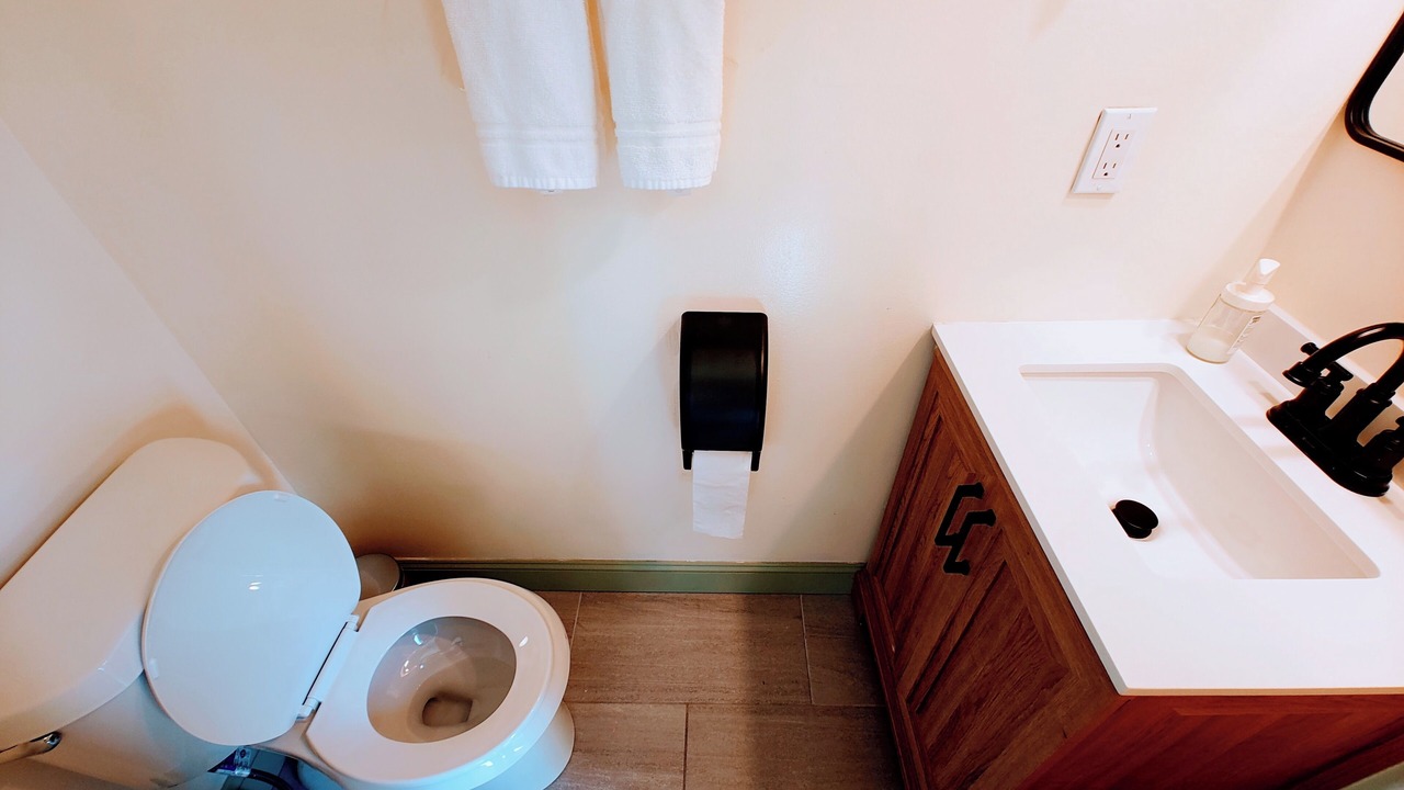 Photo of Bathroom in Downtown Niagara Falls