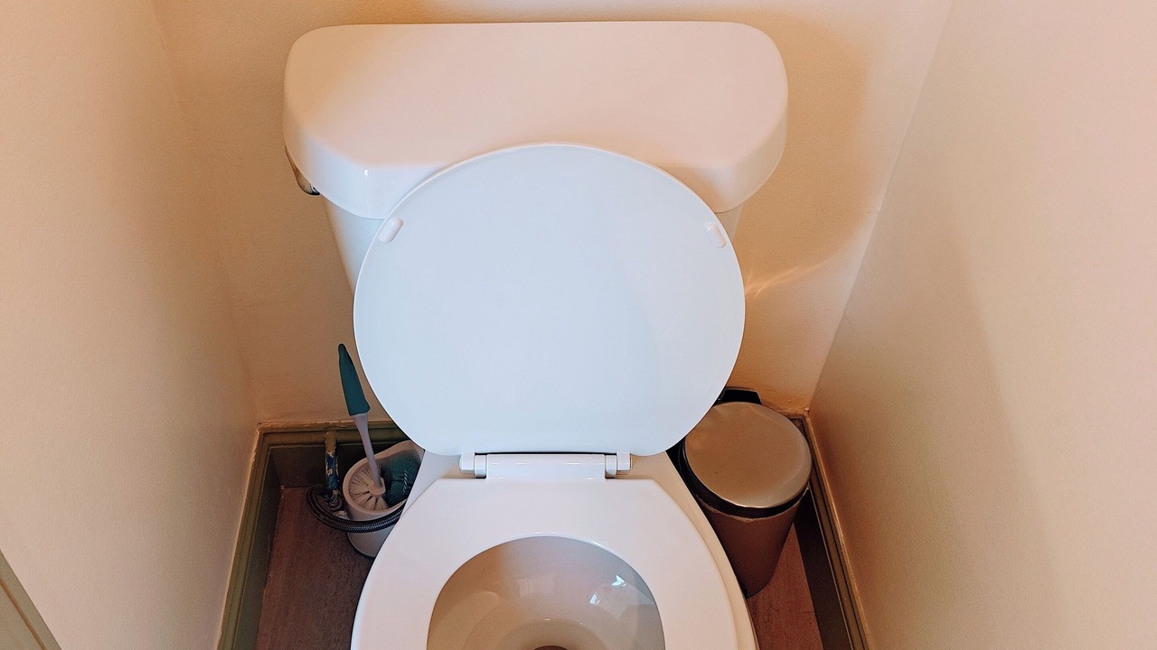 Photo of Bathroom in Downtown Niagara Falls