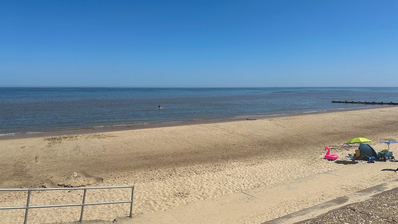 Photo of Others in Walcott