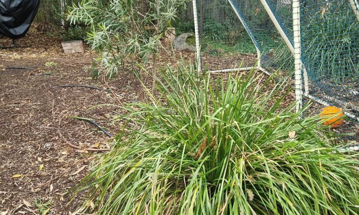 Photo of Outdoor in Blackburn