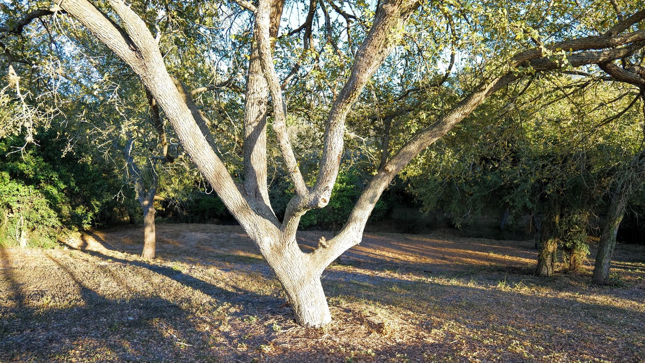 Photo of Others in Northwest Corpus Christi