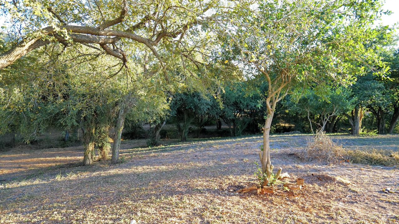 Photo of Others in Northwest Corpus Christi