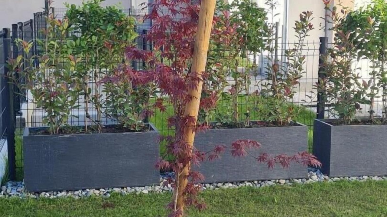 Photo of Outdoor in Albertville