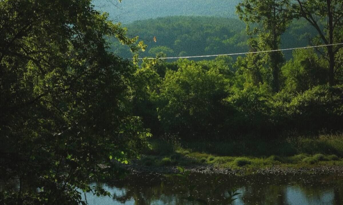 Photo of Others in Town of Fulton