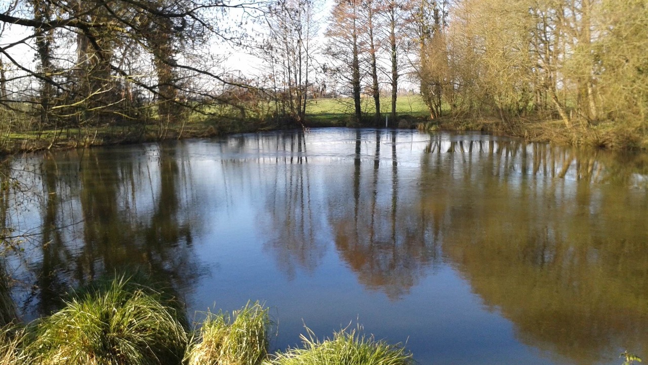 Photo of Others in Pleugueneuc