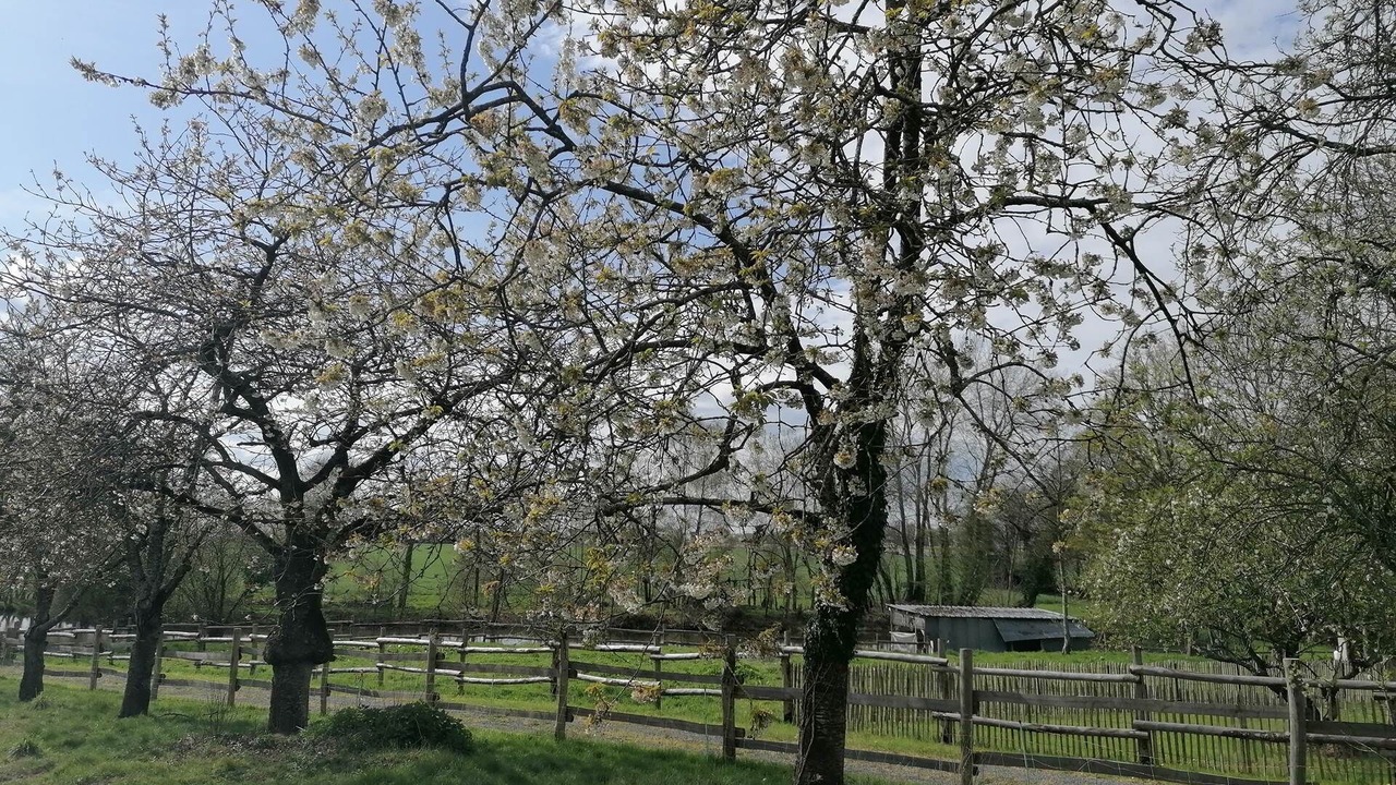 Photo of Others in Pleugueneuc