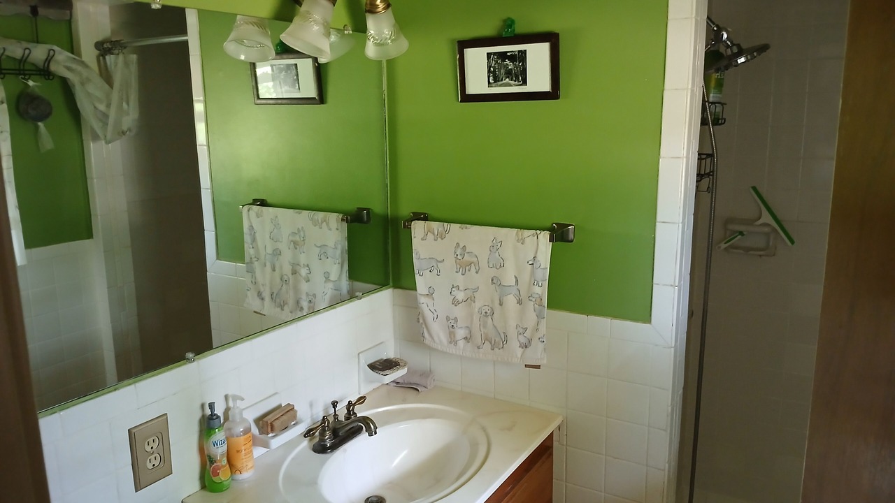 Photo of Bathroom in Horseshoe Bend