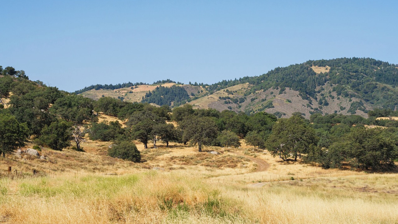 Photo of Others in Julian