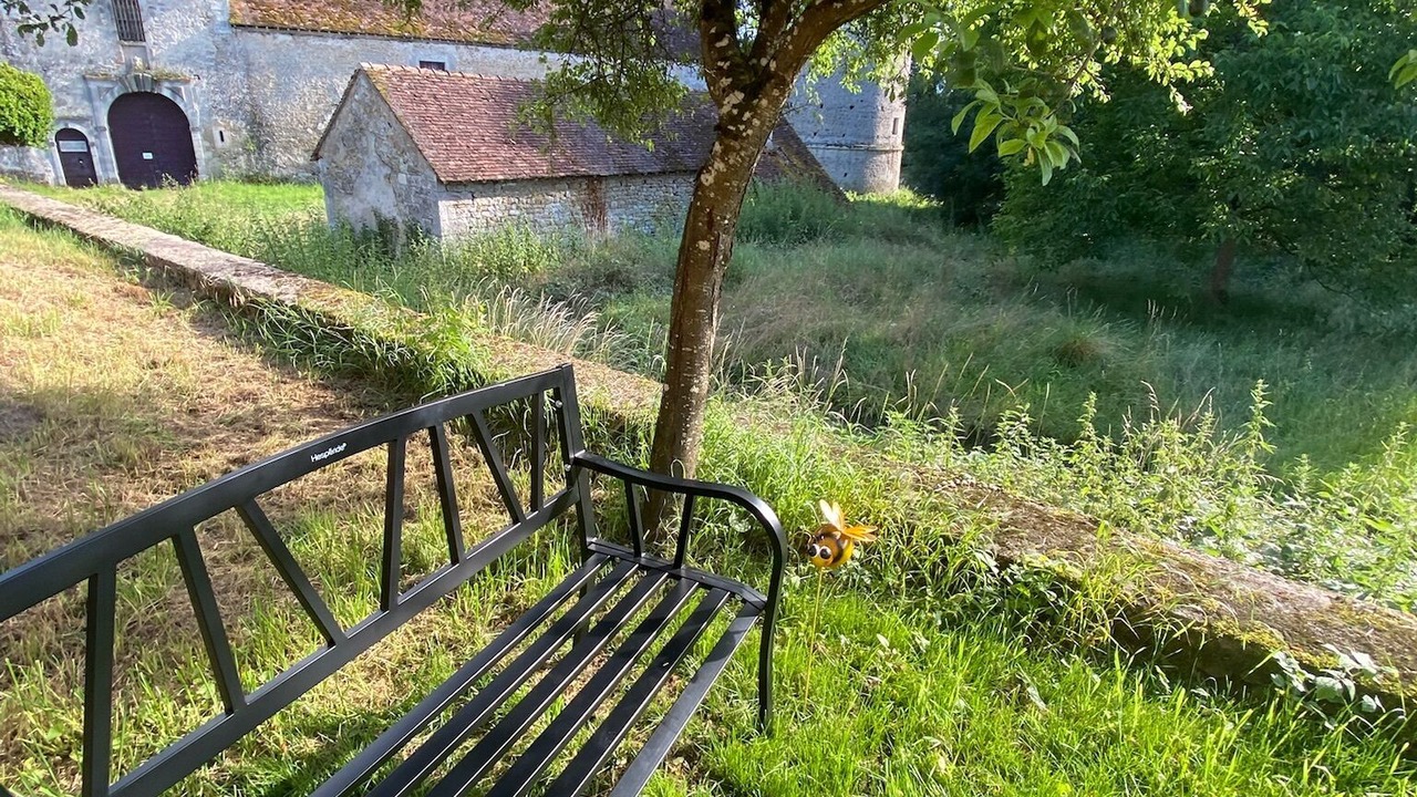 Photo of Outdoor in Molinot