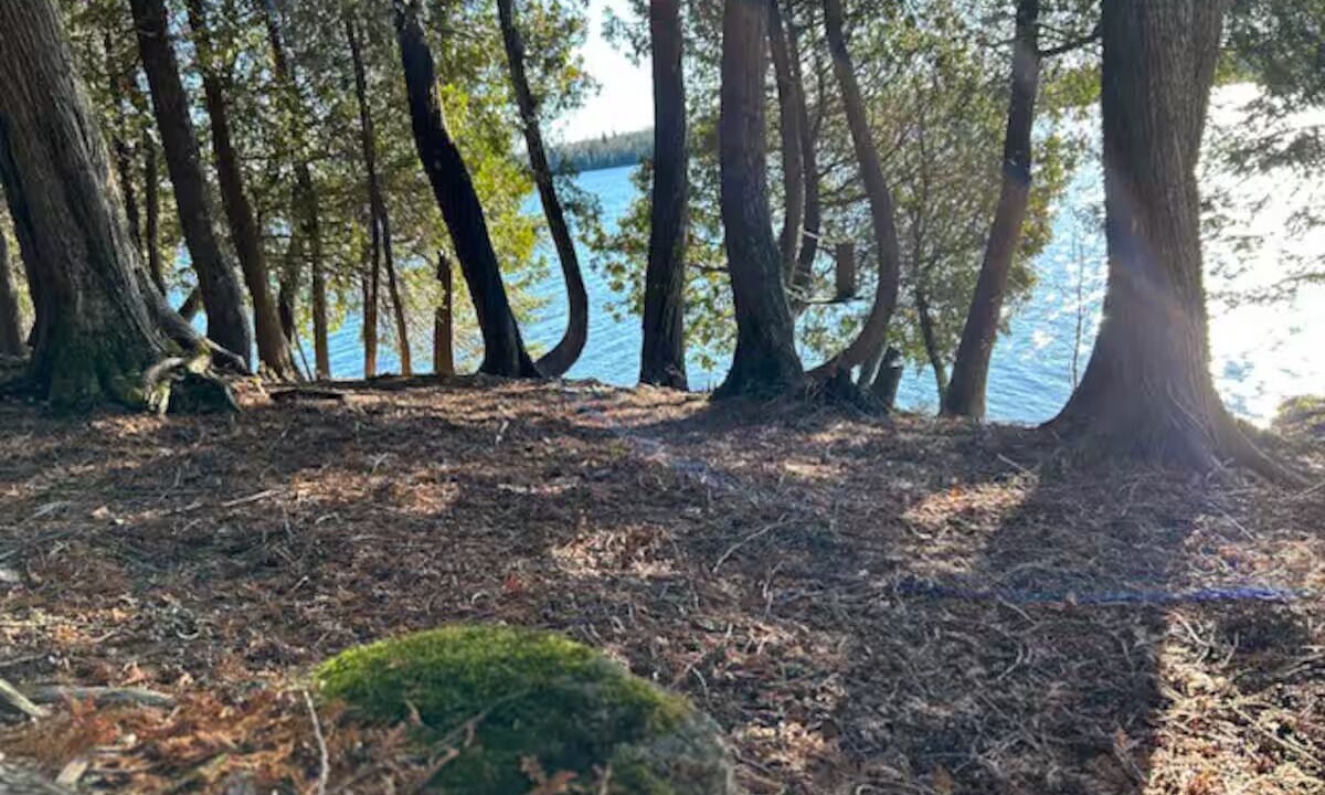 Photo of Others in Grand Marais