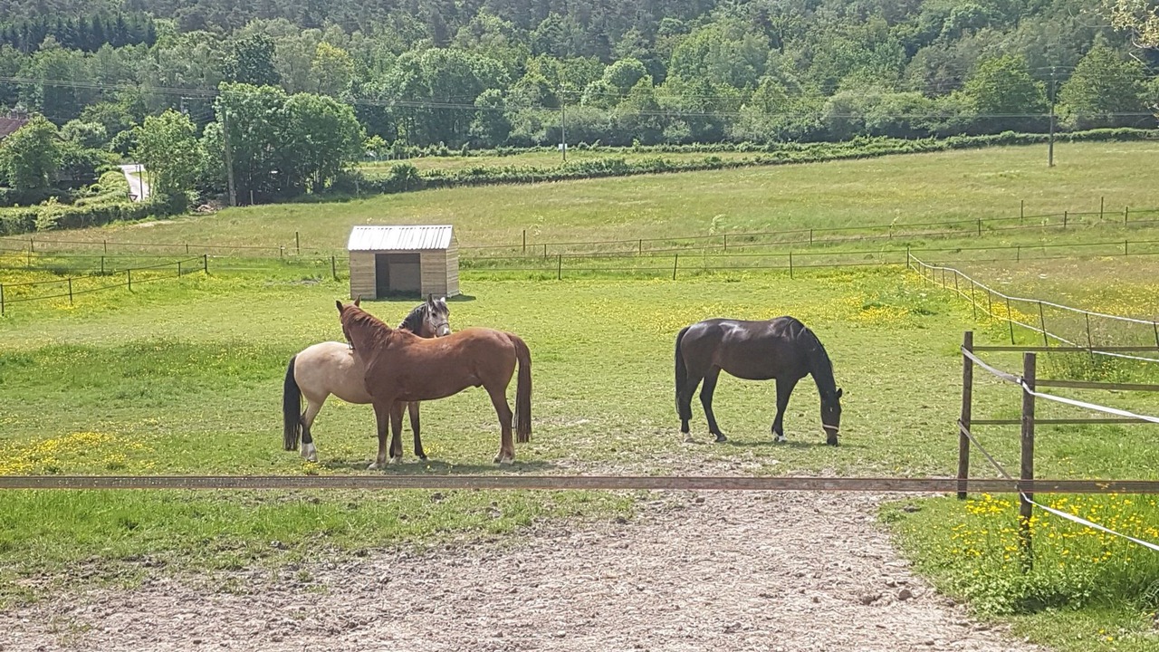 Photo of Others in Sully