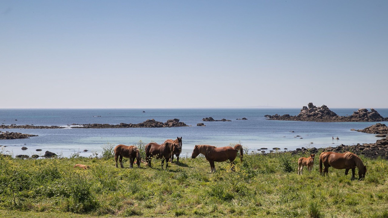 Photo of Others in Porspoder