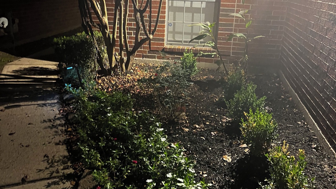Photo of Outdoor in Channelview