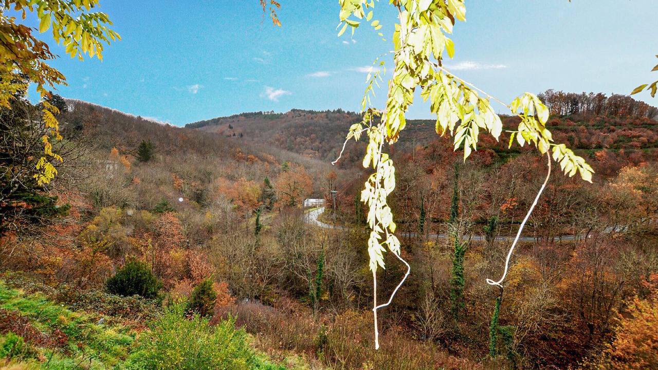 Photo of Others in Mazamet