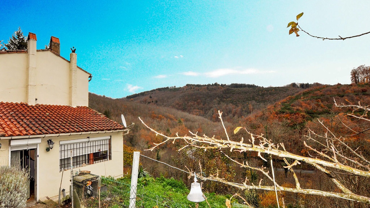 Photo of Others in Mazamet