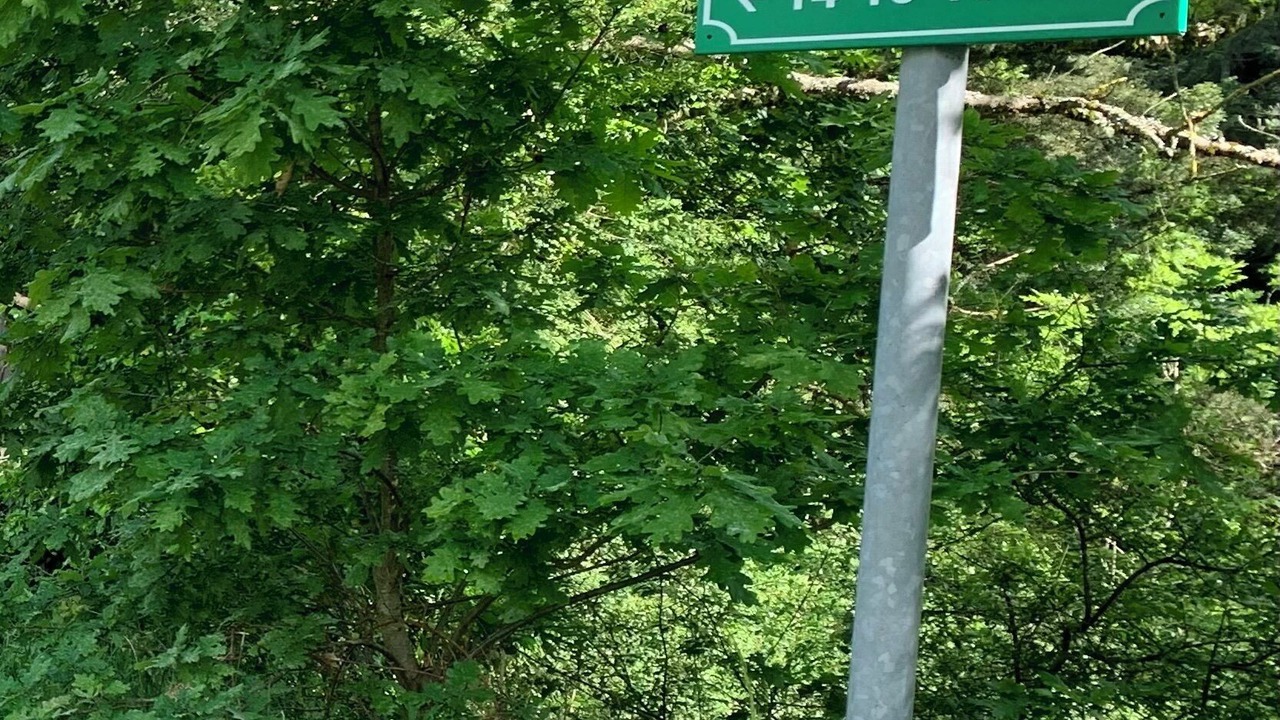 Photo of Others in Planfoy