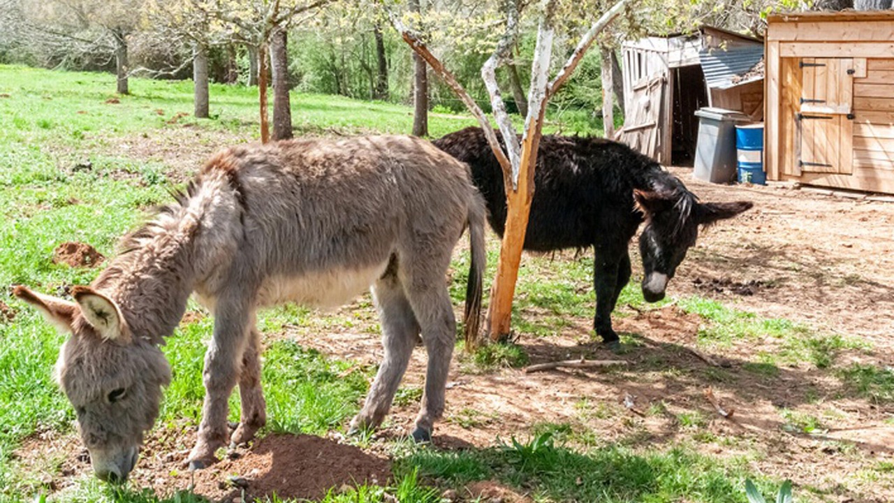 Photo of Others in Frayssinet-le-Gelat