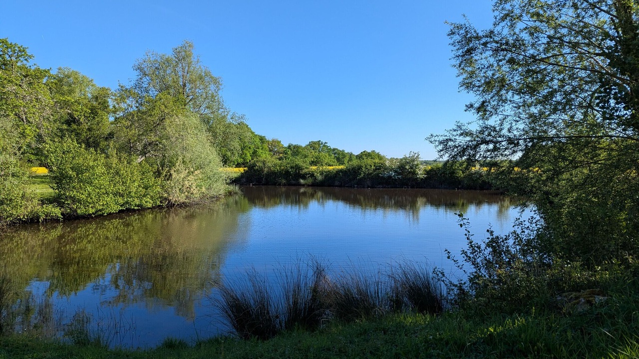 Photo of Others in Saint-Firmin-sur-Loire