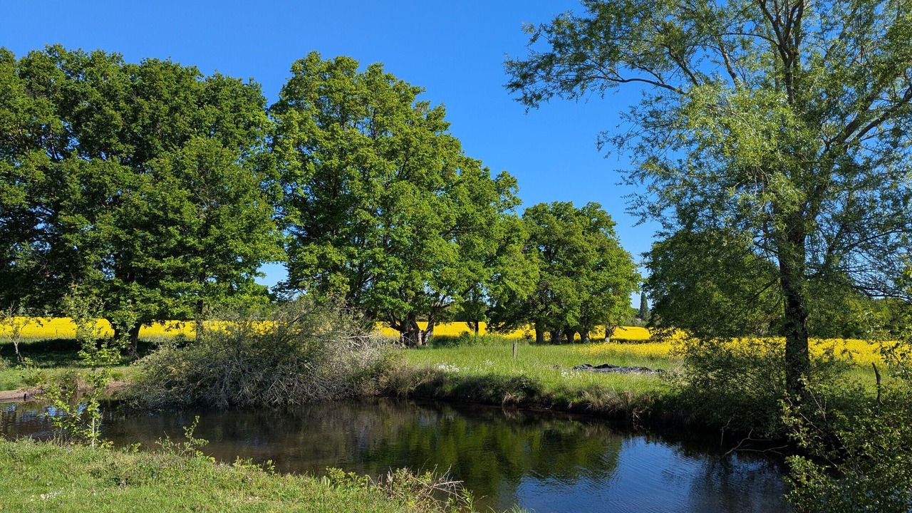 Photo of Others in Saint-Firmin-sur-Loire
