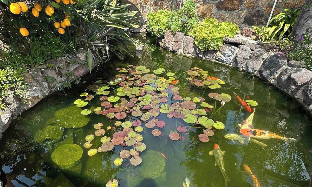 Photo of Outdoor in San Leandro