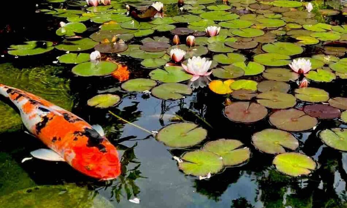 Photo of Others in San Leandro