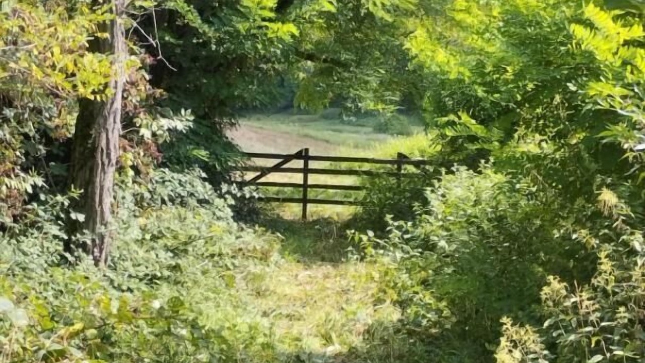 Photo of Others in Buffieres