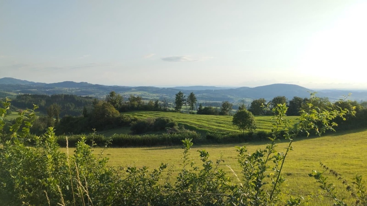 Photo of Others in Buffieres