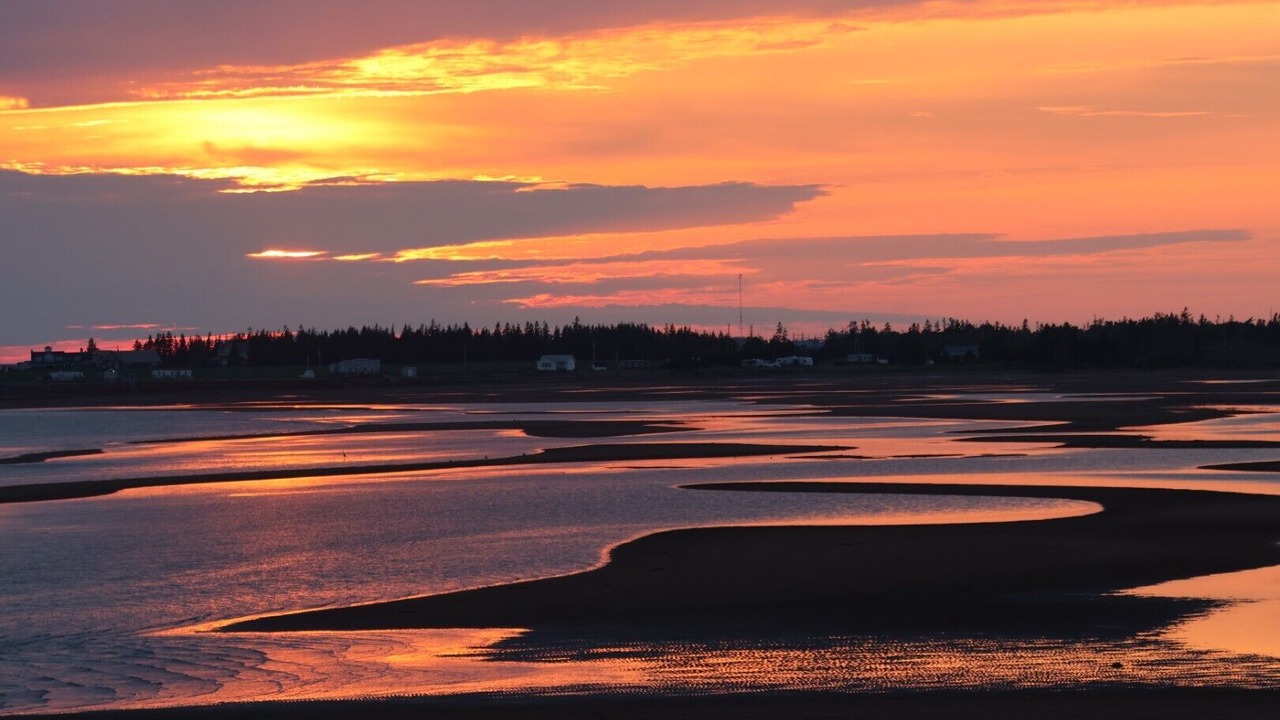 Photo of Others in Augustine Cove