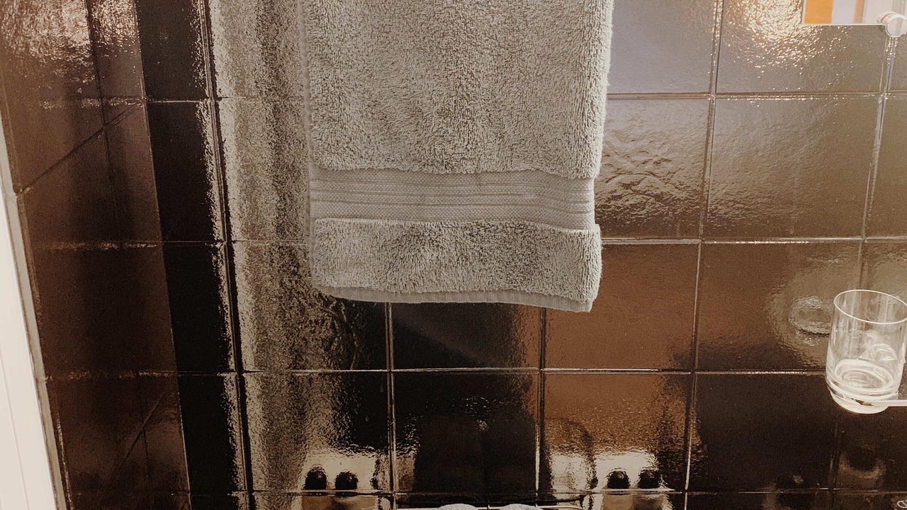 Photo of Bathroom in Samedan