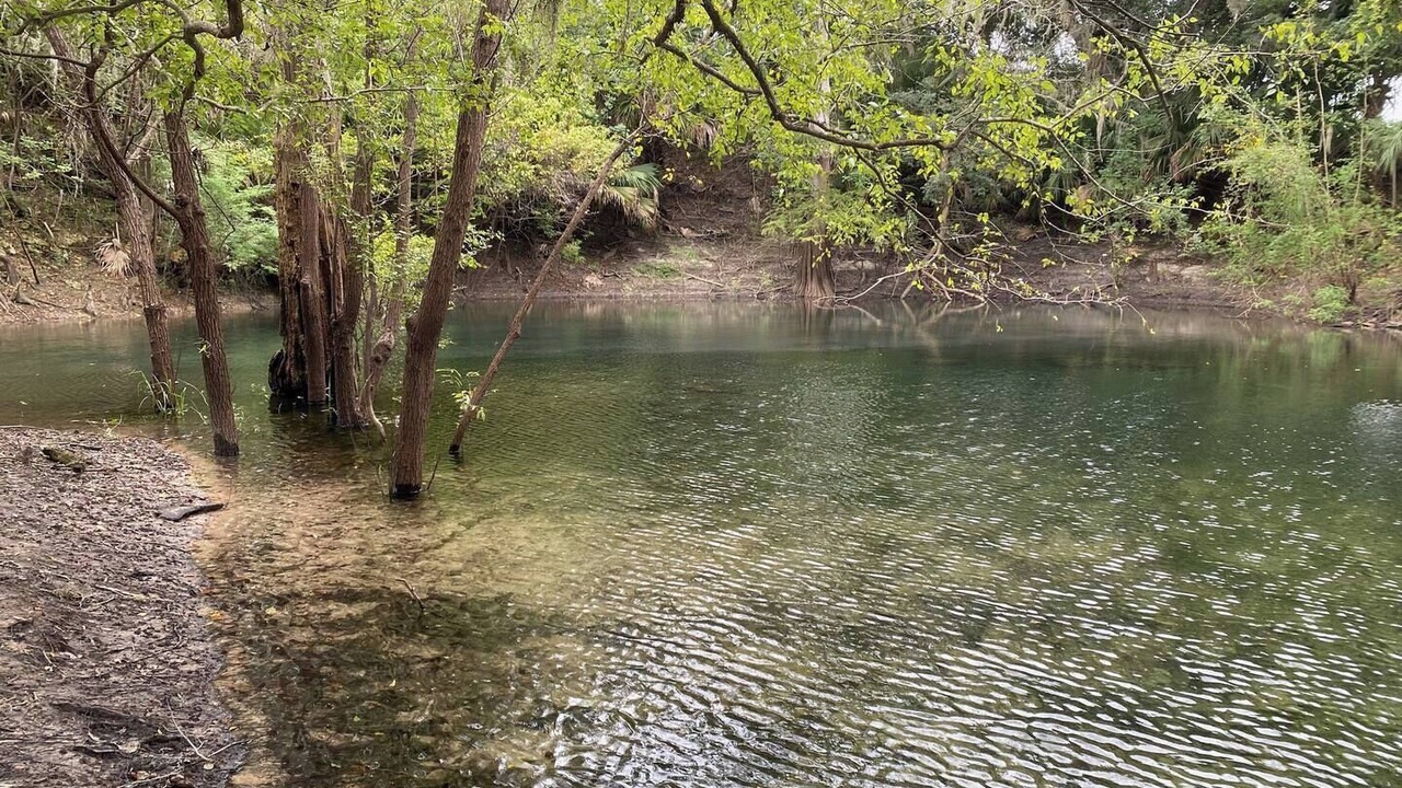 Photo of Others in High Springs