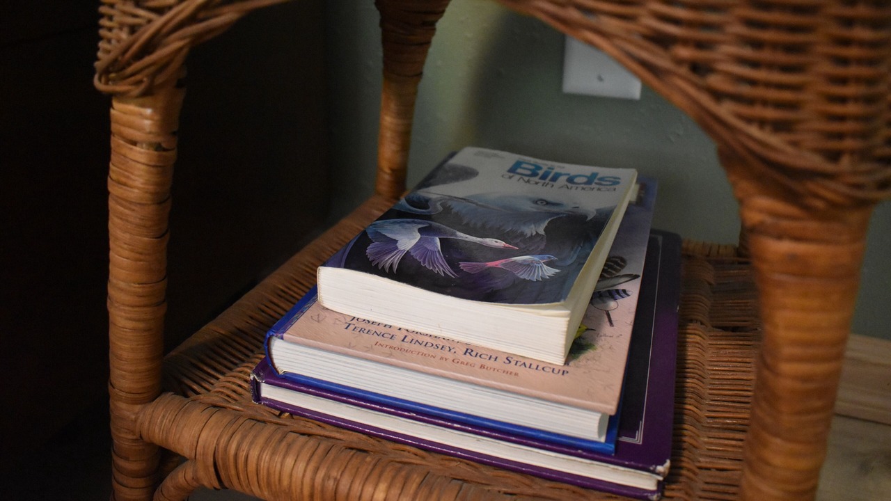 Photo of Others in Garfield