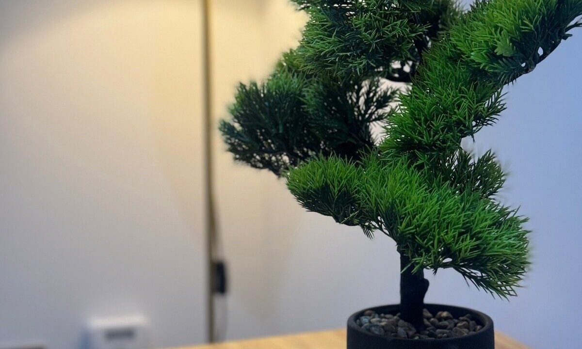 Photo of Others in Kidderminster