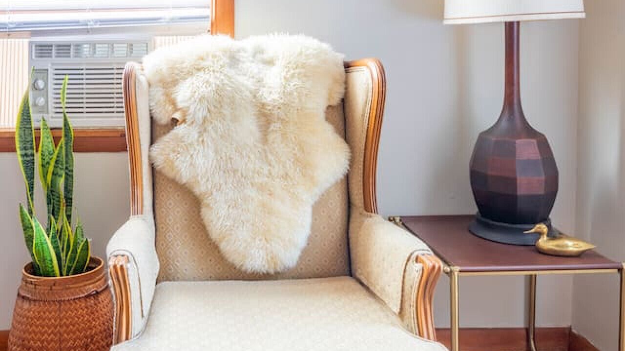 Photo of Others in South End