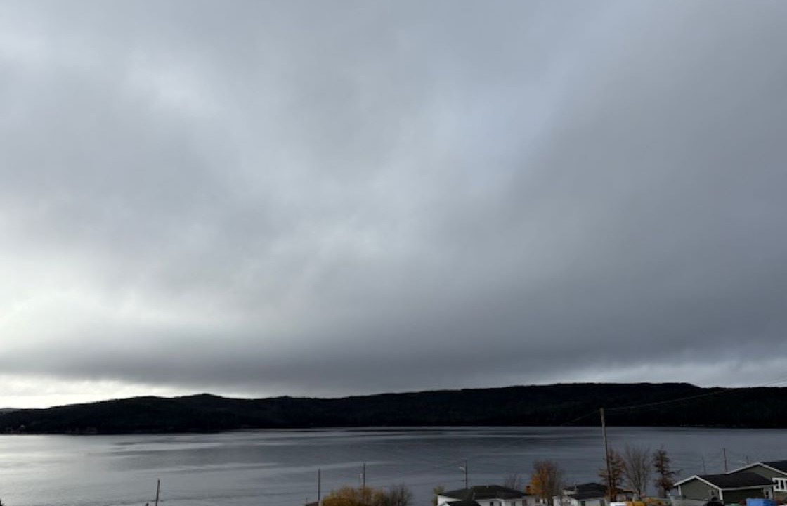 Photo of Outdoor in Heart's Content