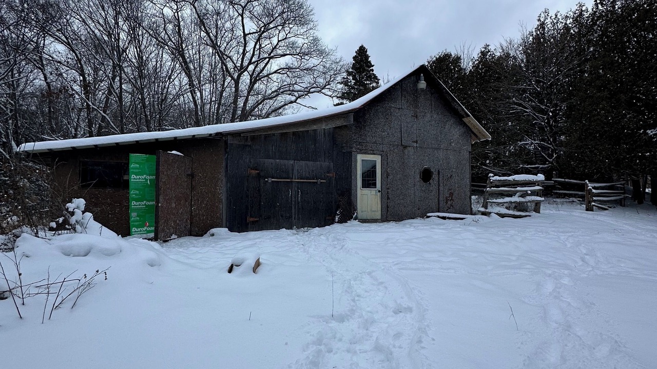 Photo of Outdoor in Huron Shores
