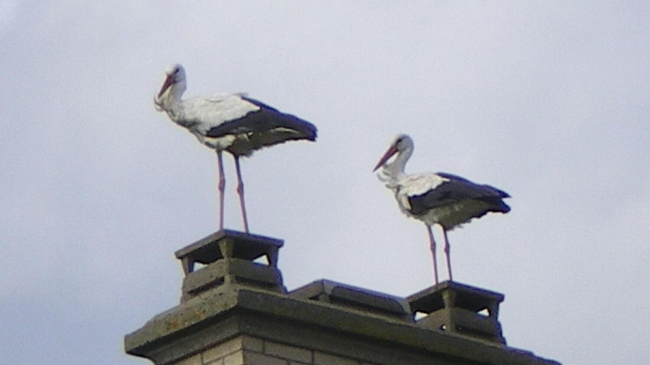 Photo of Others in Sainte-Marie-du-Mont