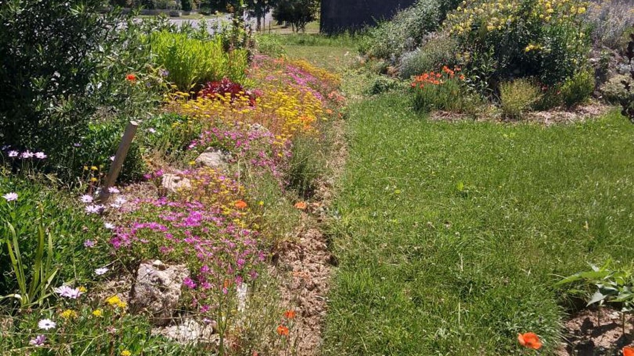 Photo of Outdoor in Baignes-Sainte-Radegonde