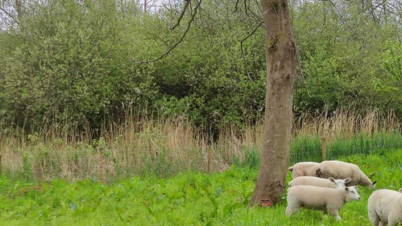 Photo of Others in Clairfayts