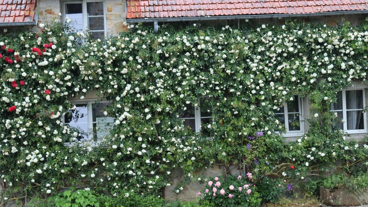 Photo of Outdoor in Le Lorey